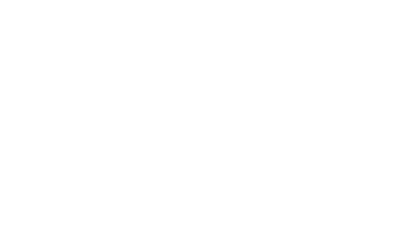 skyline500-white